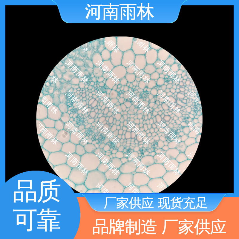 雨林教育 细胞清晰 病害标本 个性化定做 可提供材料