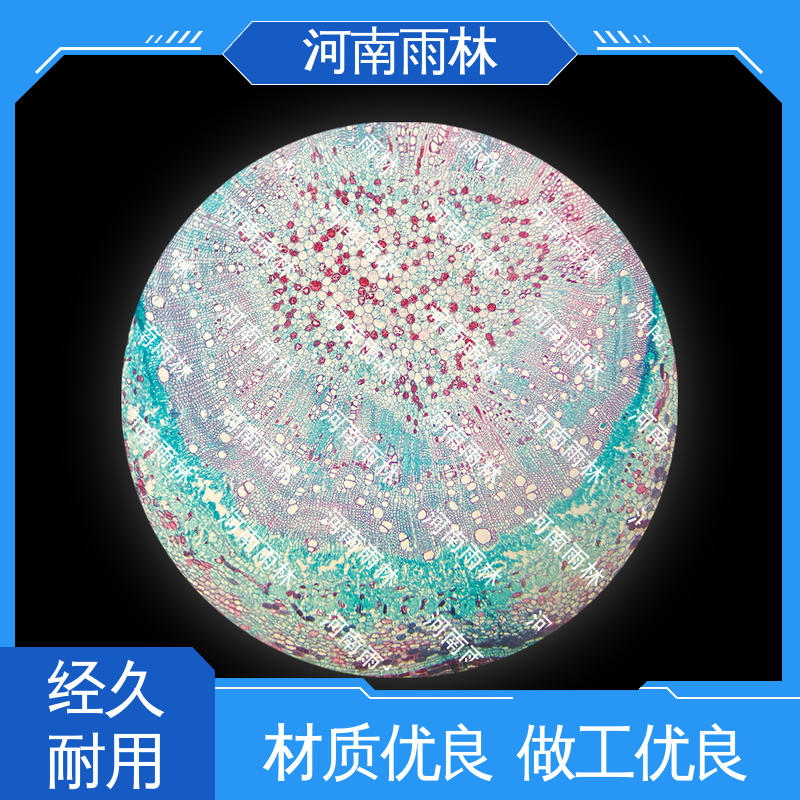 雨林教育 生物切片 源头工厂 质量保障 可提供材料