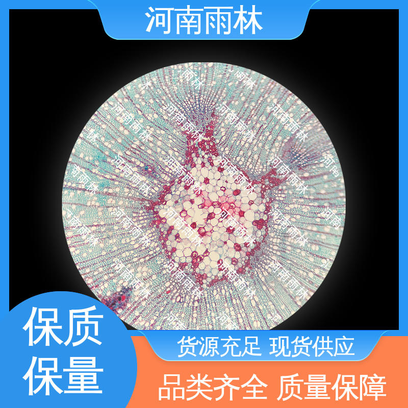 雨林教育工程 支持定制 售后无忧 品质优良 病害标本