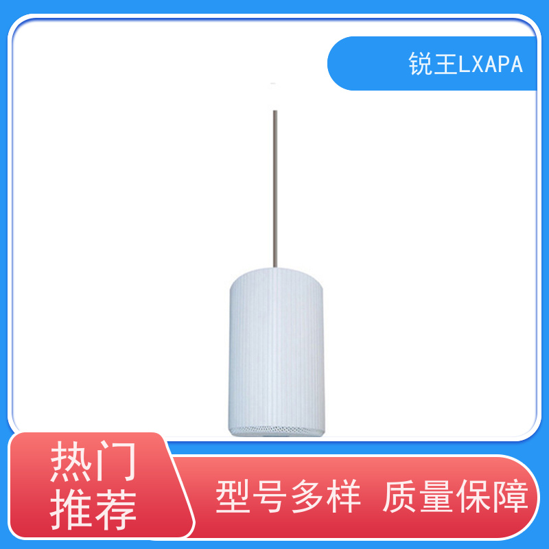 锐王LXAPA 教室壁挂喇叭 公共广播扩声系统设备 户外防水音柱