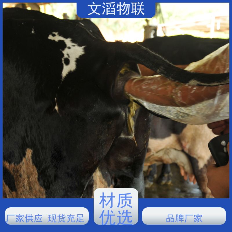 文滔物联 高新科技 养殖饲喂监控系统 生成厂家 支持定制 