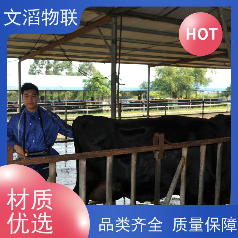 文滔物联 智能化 全混合日粮精准饲喂监控系统 源头工厂 有保障 