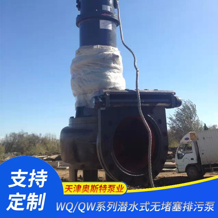  WQ系列潜水排污泵 支持搅拌和切割 根据客户需求定制