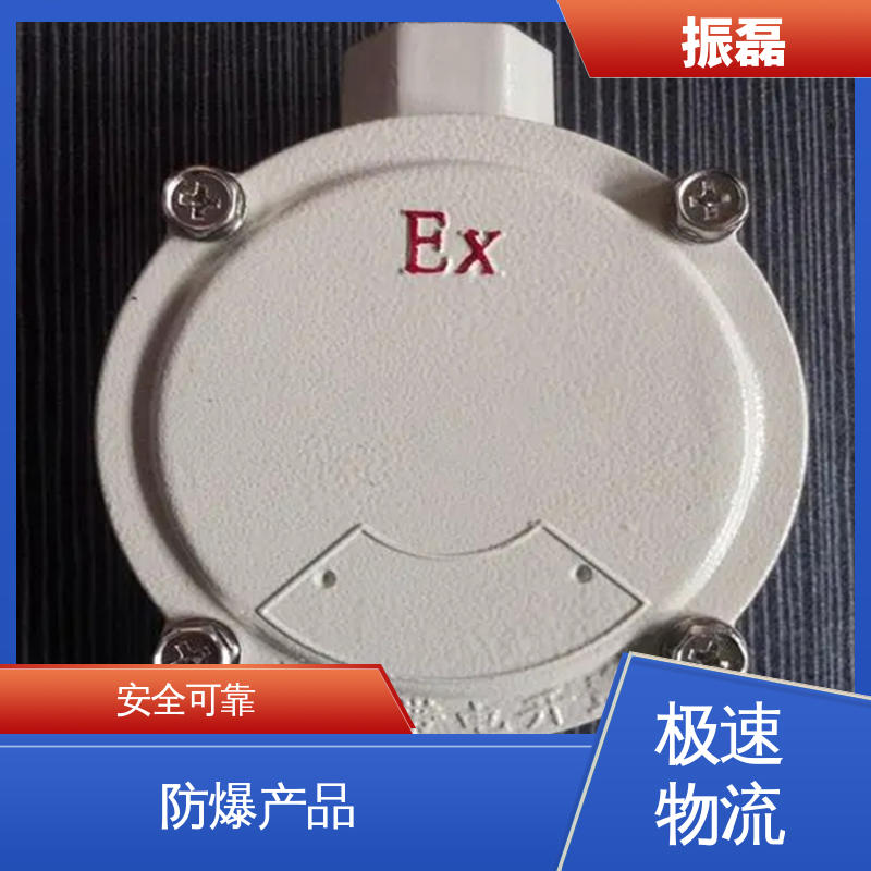 振磊 BHD51防爆接线盒 防腐等级WF2 管螺纹可定制