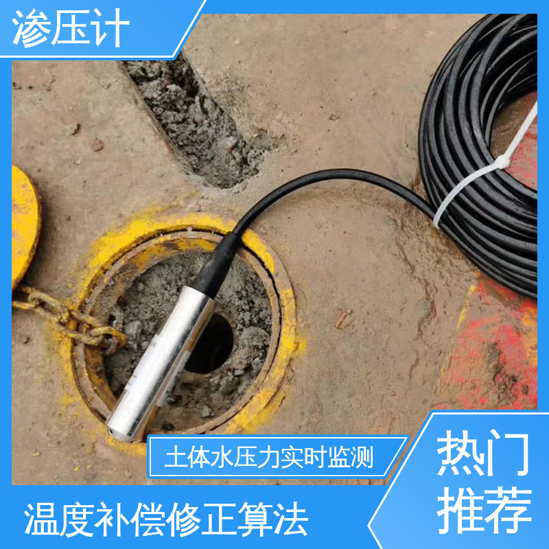长期在线监测 堤防水工建筑物 结构物内部水压 硅压阻式渗压计