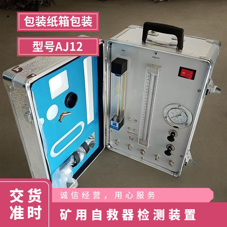 矿用自救器检测装置 电动式氧气呼吸器校验仪 AJ12