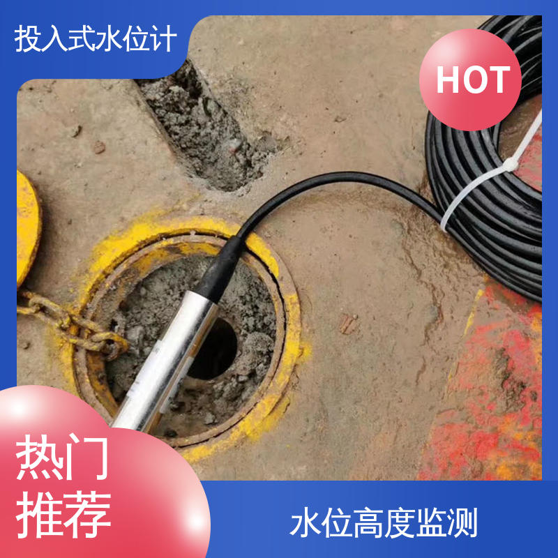 全天候观测 液面变化 堤防水工建筑物 硅压阻式水位计