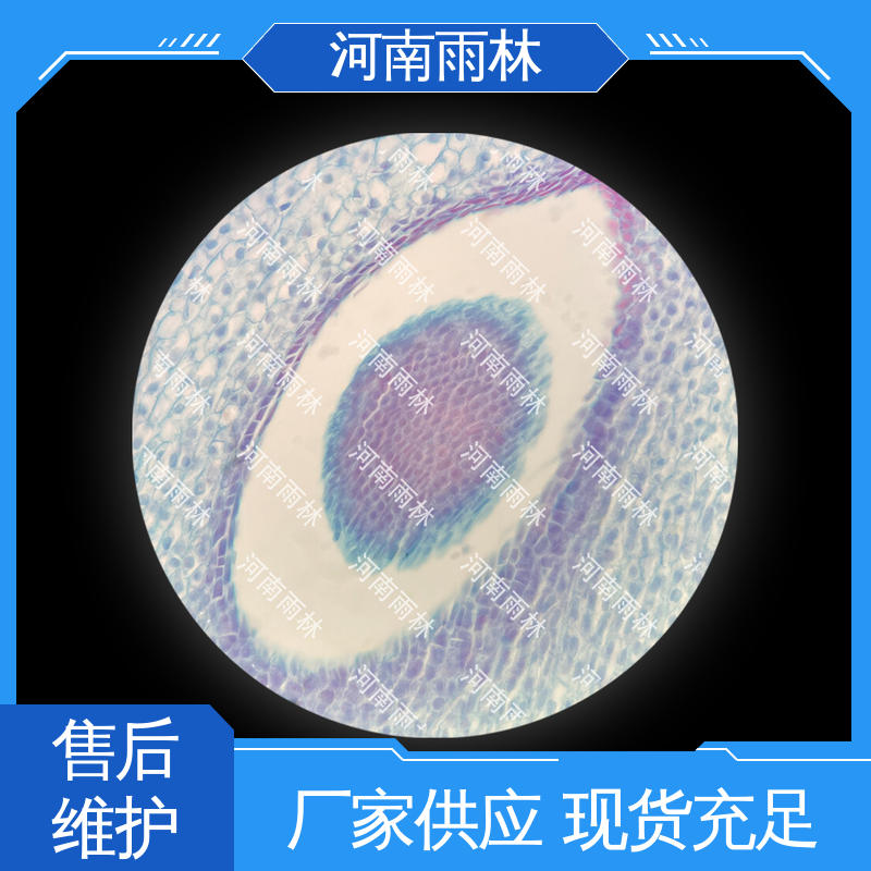 雨林教育工程 品质优良 支持定制 可后期加工 实验切片