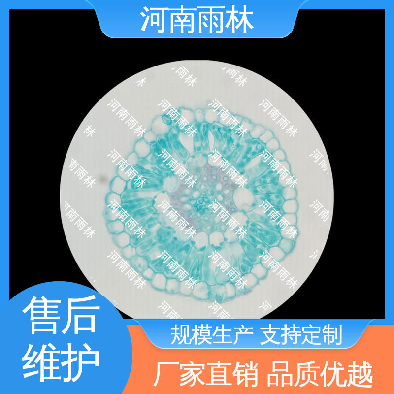 质量保障 个性化定做 实验切片 可后期加工 雨林教育工程