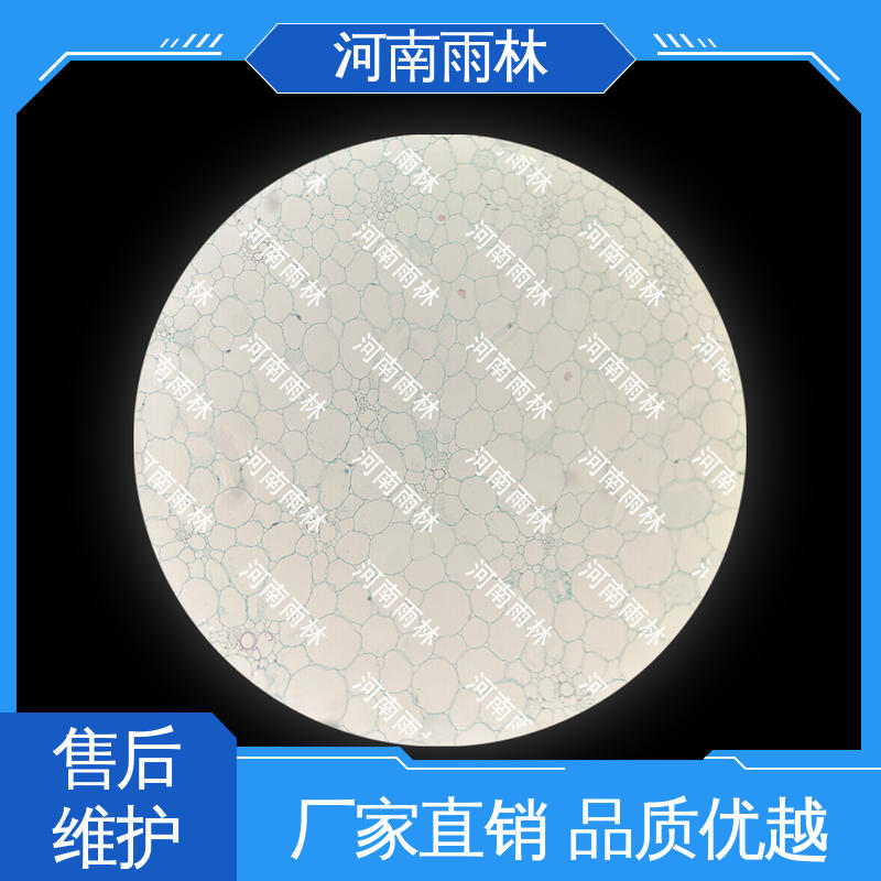 雨林教育工程 品质优良 植物标本 源头工厂 性价比高