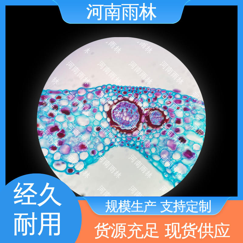 雨林教育 可后期加工 支持定制 质量保障 显微切片