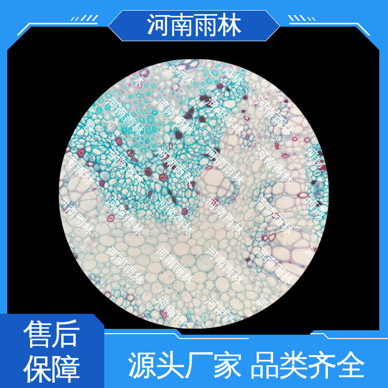 厂家销售 颜色鲜亮 教学切片 可后期加工 雨林教育工程