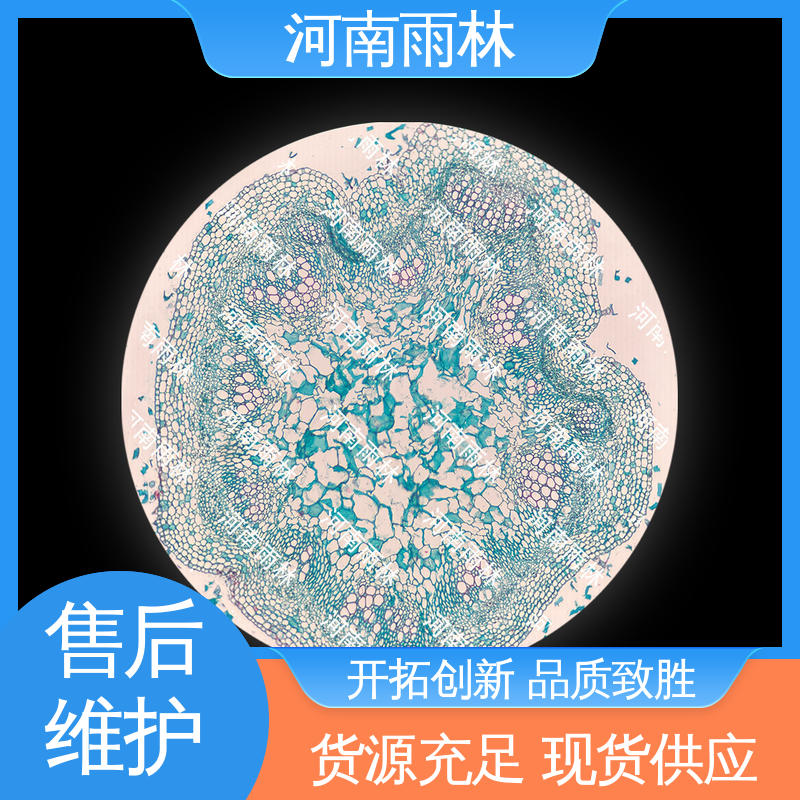 质量优 显微切片 品质优良 个性化定做 雨林教育工程