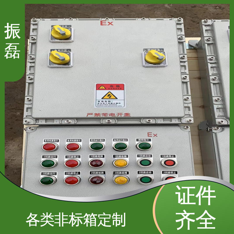 专用堵头 化工厂 加油站 发货快 证书齐全 bxm防爆照明动力配电箱 振磊