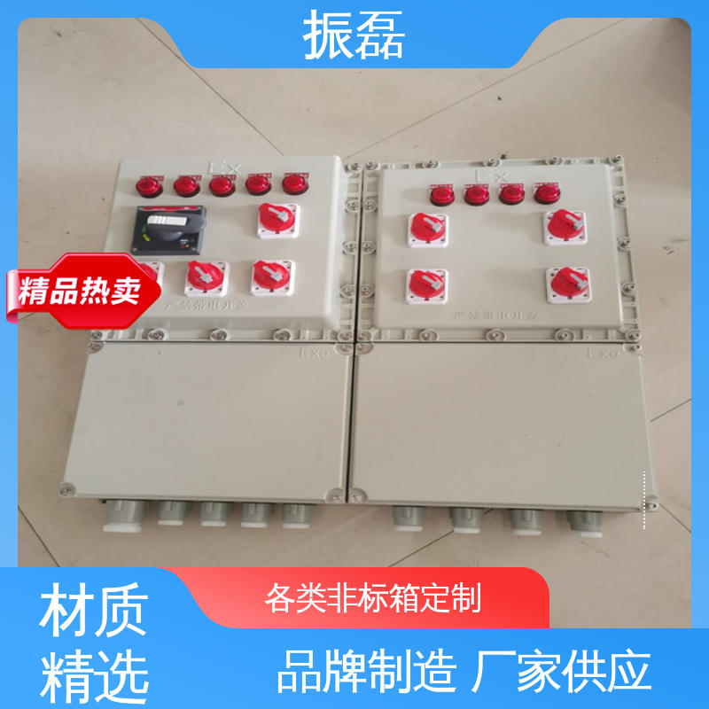 风机控制柜 bxm防爆照明动力配电箱 无火花检修插座箱 振磊