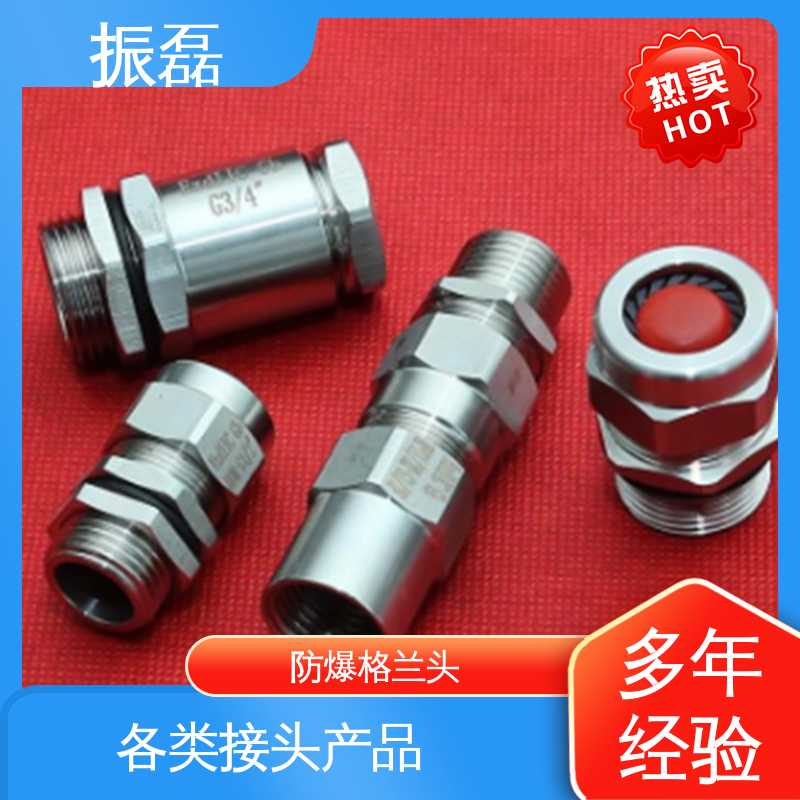 振磊 防爆格兰头 防水固定头 BHJ 不锈钢材质IP65