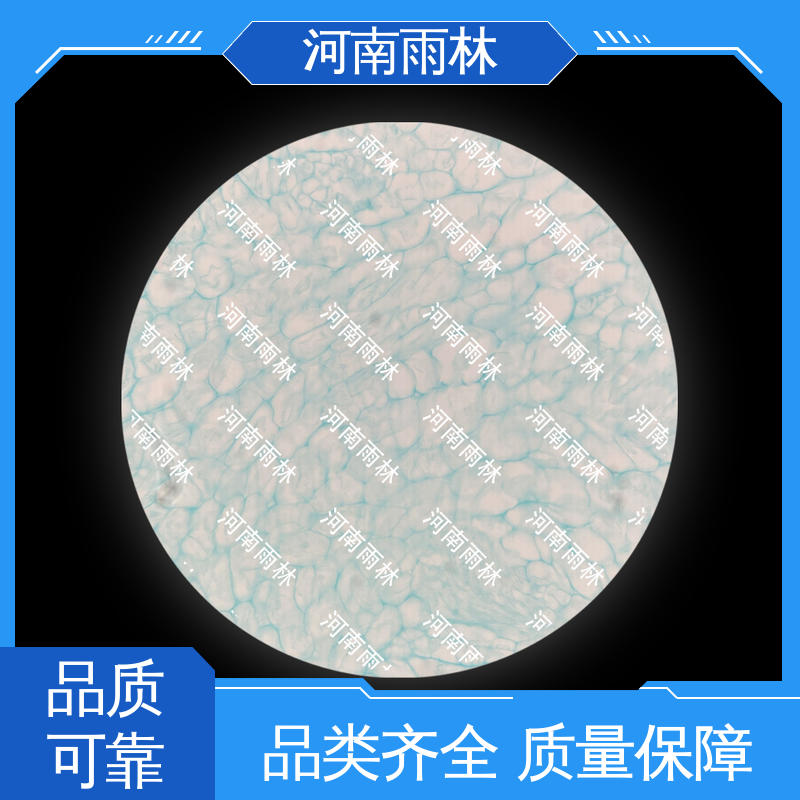 雨林教育 实验标本 支持定制 切片安全 售后无忧