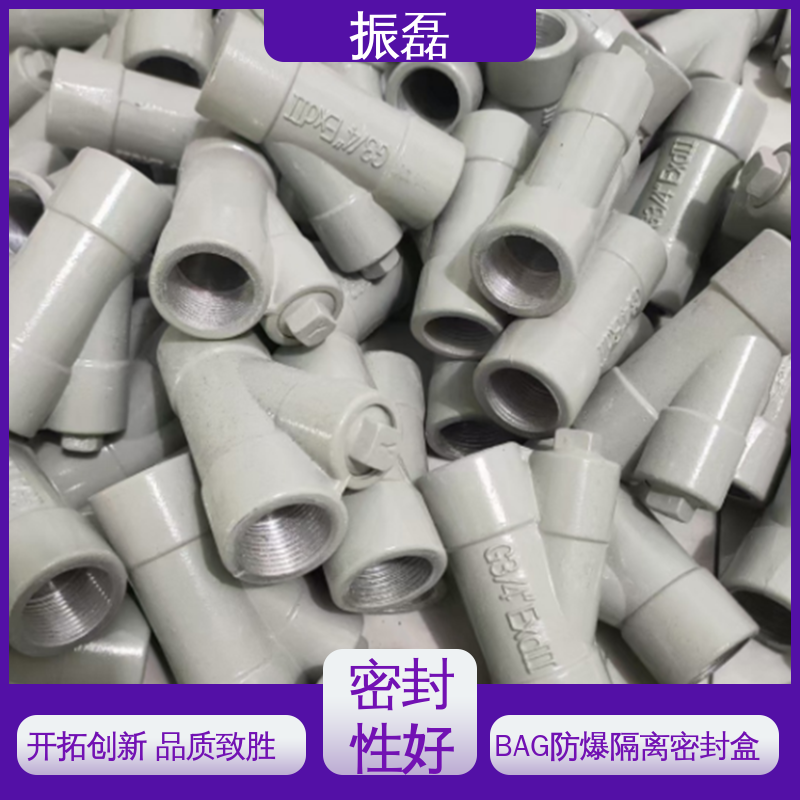 纵向隔离密封盒 ExdllC Gb/DIP55 A20 BHC 横向性 振磊