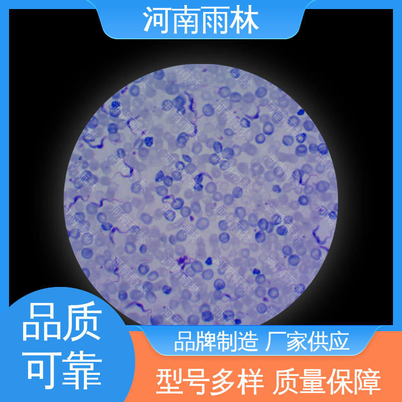 雨林教育工程 可提供材料 教学切片 一对一质检 个性化定做