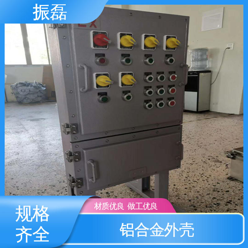 振磊 专用堵头 bxm防爆照明动力配电箱 变频器控制柜非标定做