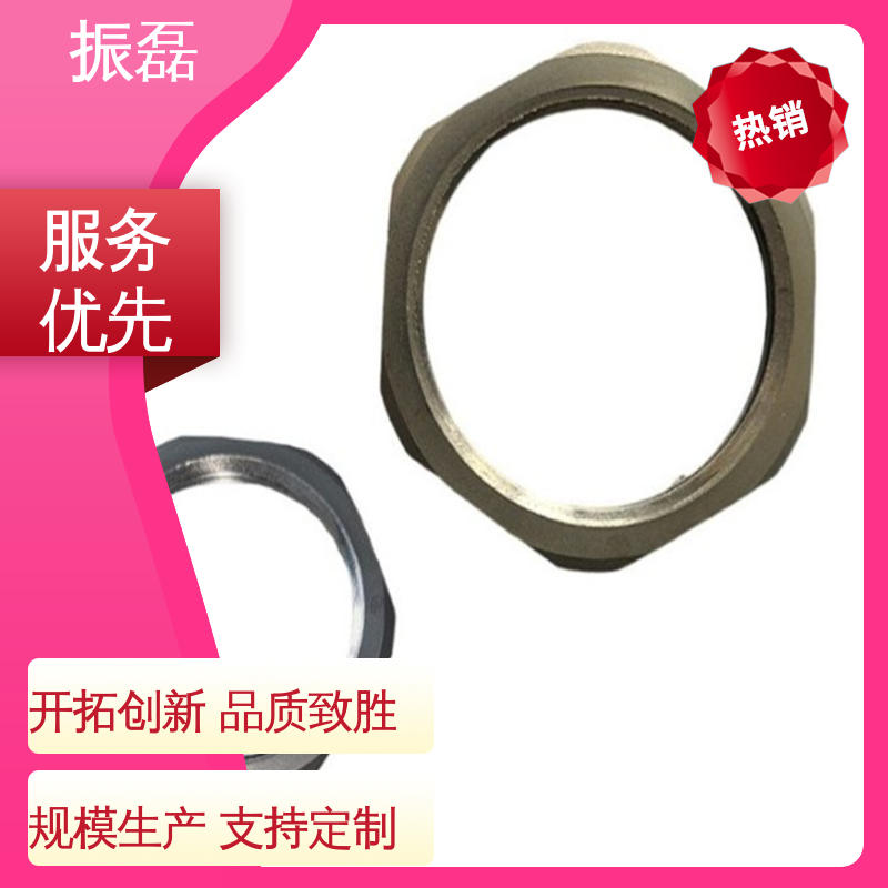 BHJ 防护等级IP55 G3/4六角根母DN20锁片 管箍配件 振磊