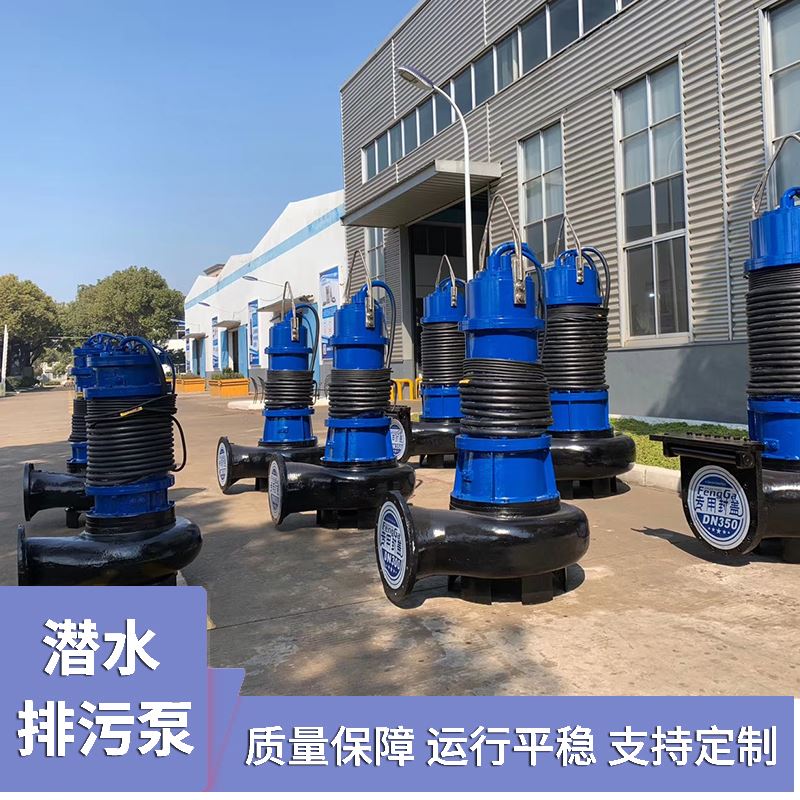  WQ系列潜水排污泵 矿用隔爆型 优选材质 客服在线咨询
