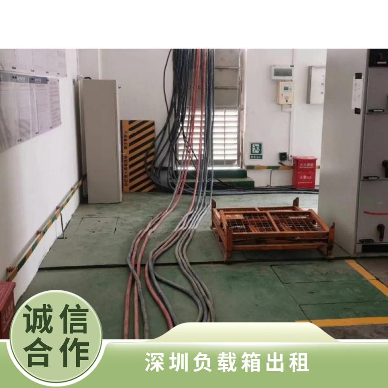 深 圳本地负载箱出租 电阻箱租赁 设备测试 电力负荷验收