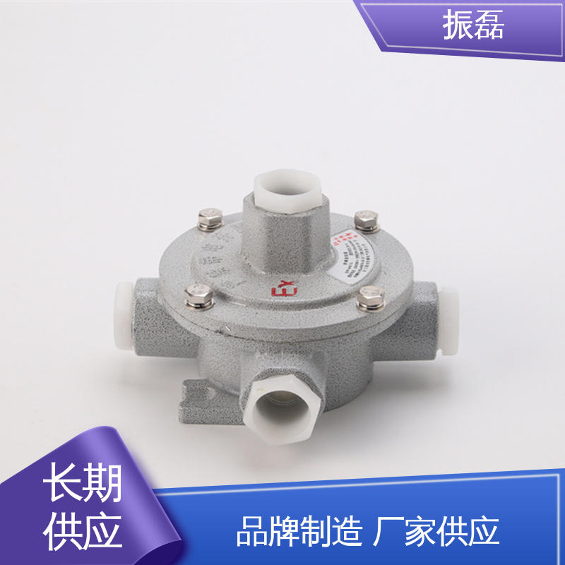 振磊 防腐等级WF2 防爆四通接线盒 直平三通防水防尘穿