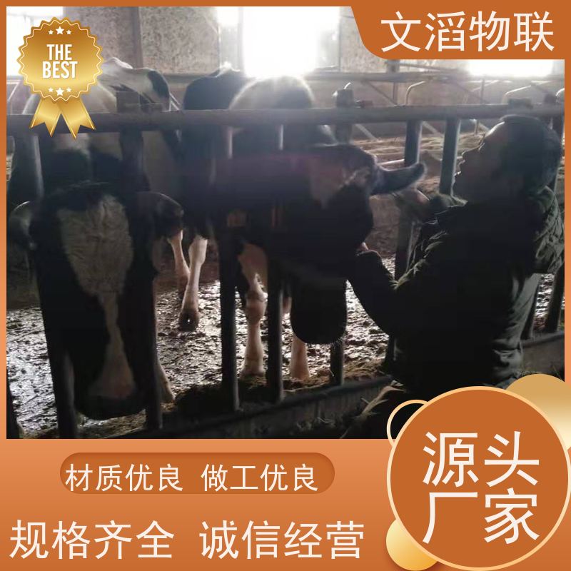 文滔物联 牛B超 牛羊马驴发情监测GPS定位计步器 厂商 