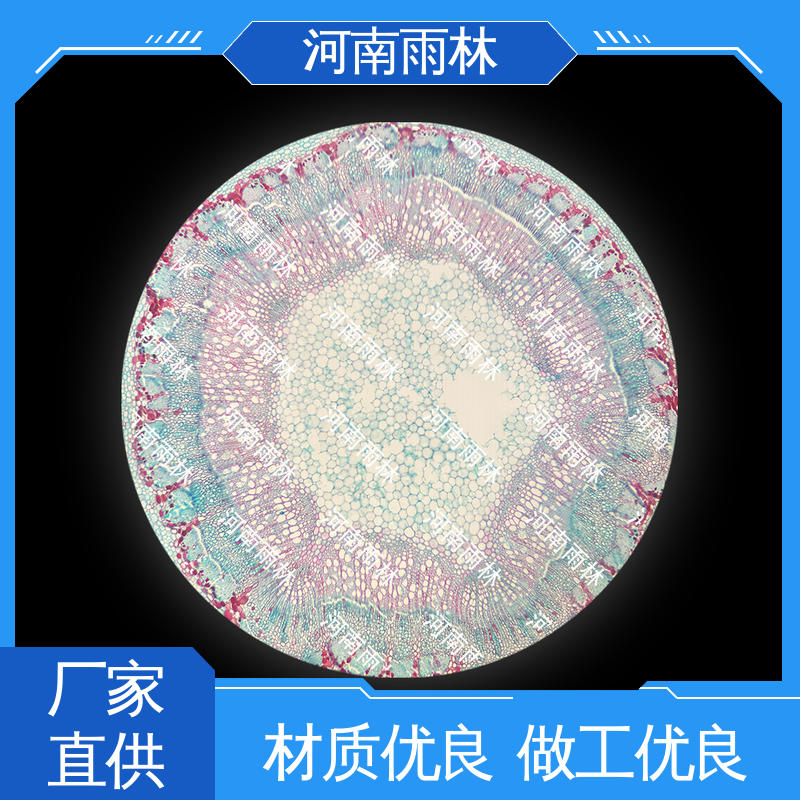 一对一质检 厂家销售 可定制 显微标本 雨林教育工程