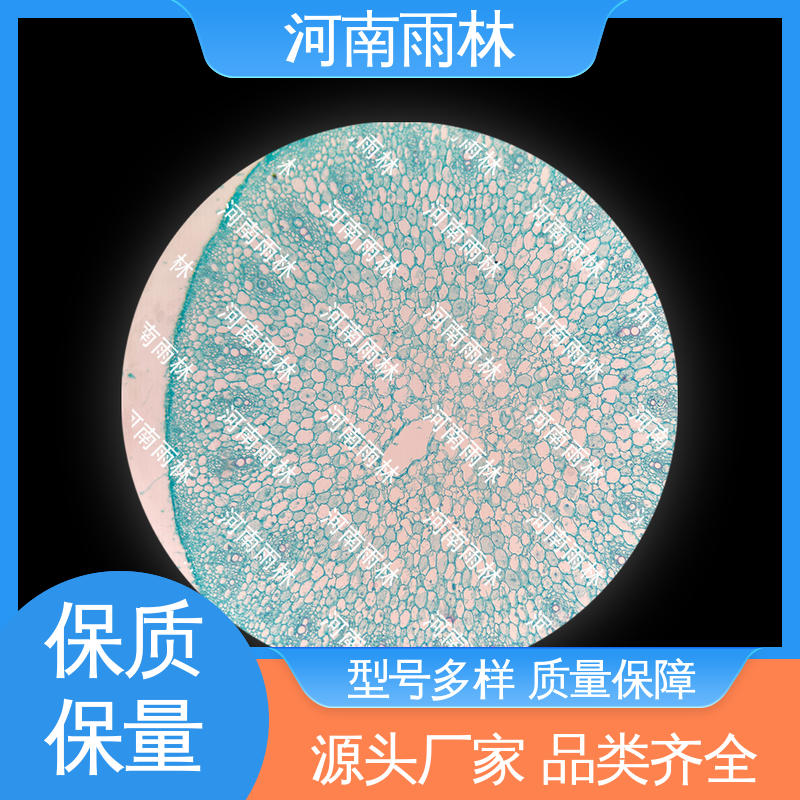 雨林教育工程 一对一质检 源头工厂 实验切片 可提供材料