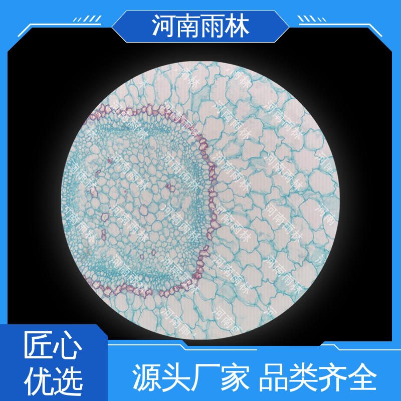 雨林教育工程 品质优良 源头工厂 实验切片 售后无忧