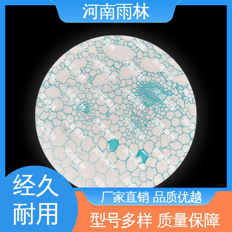 病害标本 质量保障 售后无忧 个性化定做 雨林教育工程