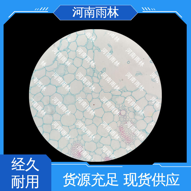 雨林教育工程 性价比高 颜色鲜亮 源头工厂 教学切片