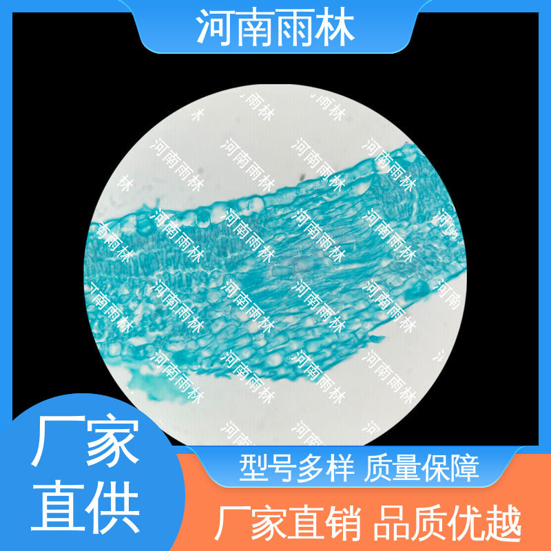 雨林教育 实验标本 可定制 一对一质检 个性化定做