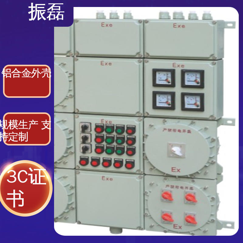 不锈钢配电箱 化工厂 加油站 IP66 IIBT6级 无火花检修插座箱 振磊