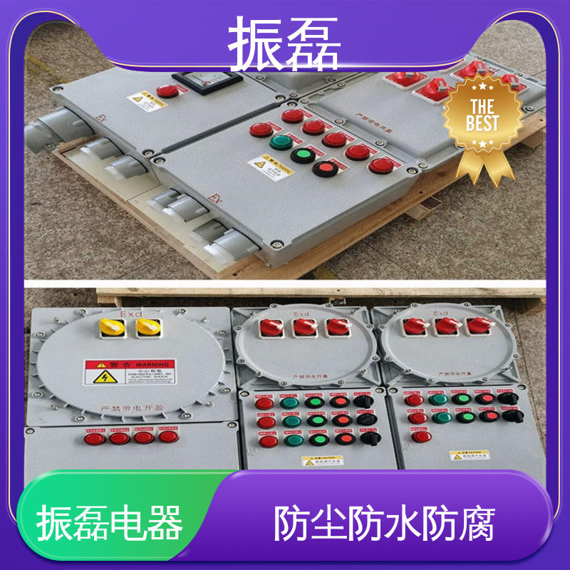 振磊 工地 FXM防爆防腐照明动力配电箱 无火花检修插座箱