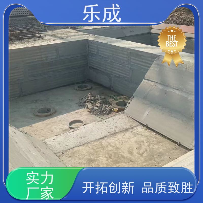 乐成 PC砖胎模 9\10\12\15\20厚可选 当天可发货 品质优良 性能稳定