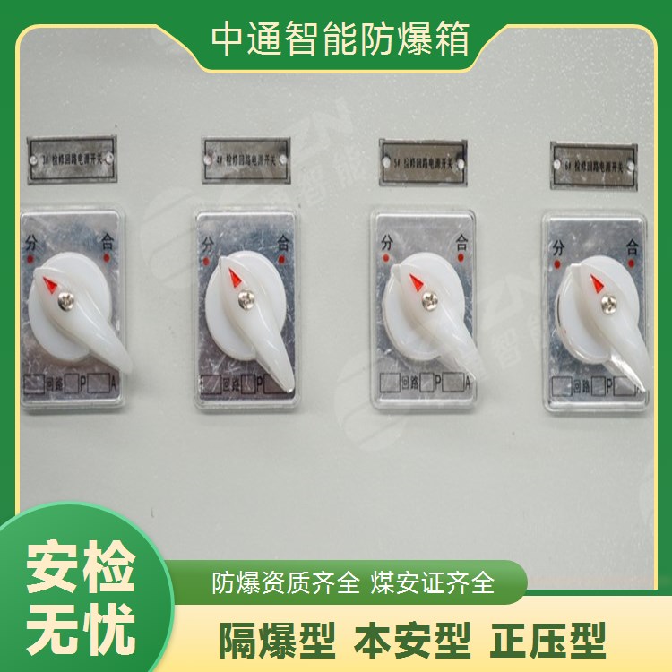中通智能 碳钢材质工业用防爆箱结构简单实用防护等级高非标定制