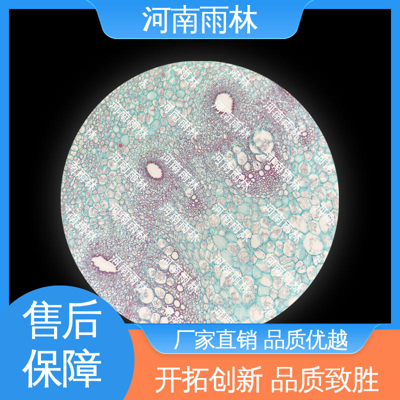 实验标本 可提供材料 切片安全 个性化定做 雨林教育工程