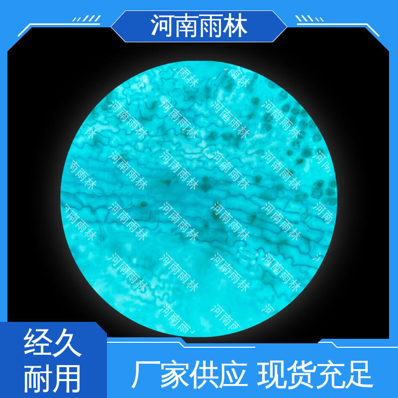 雨林 显微标本 售后无忧 个性化定做 一对一质检