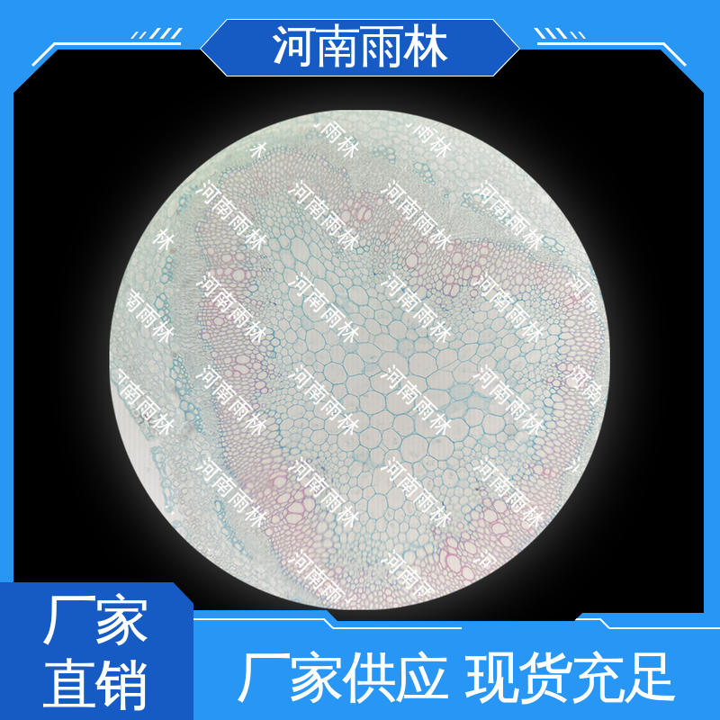雨林教育工程 一对一质检 生物切片 可提供材料