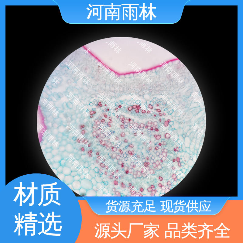 质量保障 源头工厂 实验切片 售后无忧 雨林教育