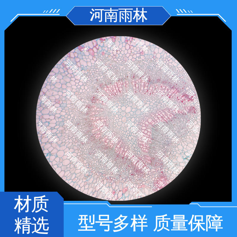 雨林教育工程 支持定制 性价比高 颜色鲜亮 教学切片