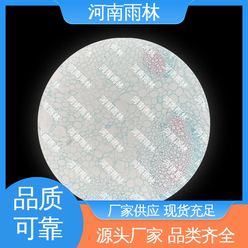 雨林教育 显微标本 质量保障 售后无忧 个性化定做
