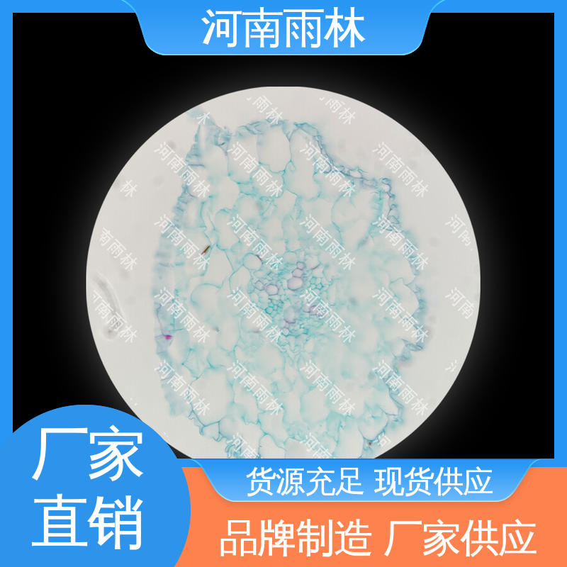 雨林教育 病害标本 支持定制 品质优良 售后无忧