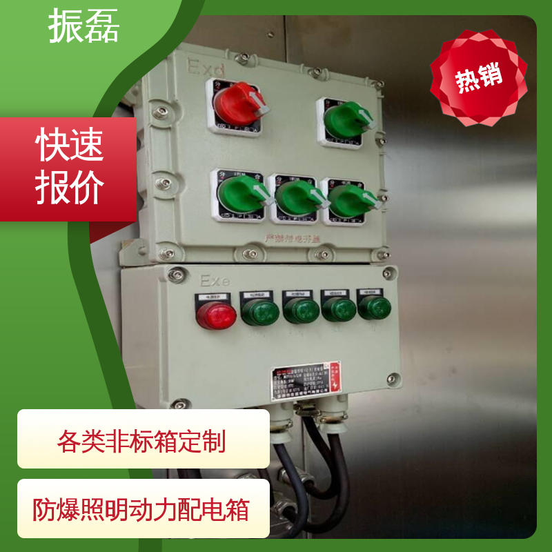 BXM(D)8050 bxm防爆照明动力配电箱 非标检修箱 振磊