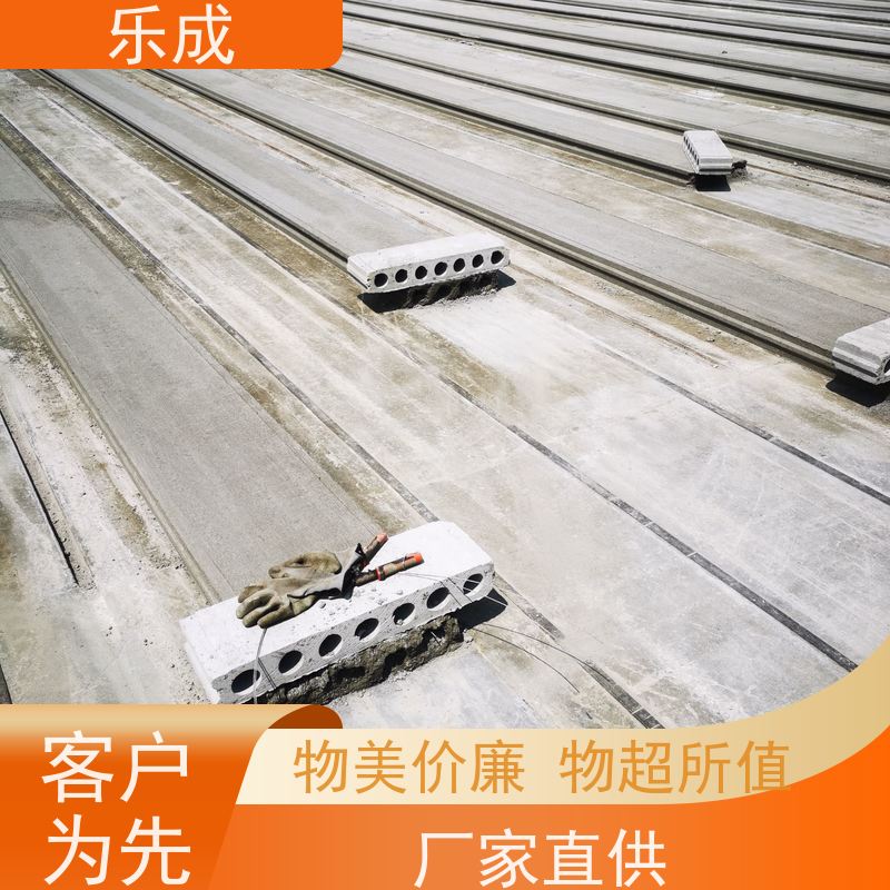 乐成品牌新型混泥土空心板 圆孔板状外观可定制