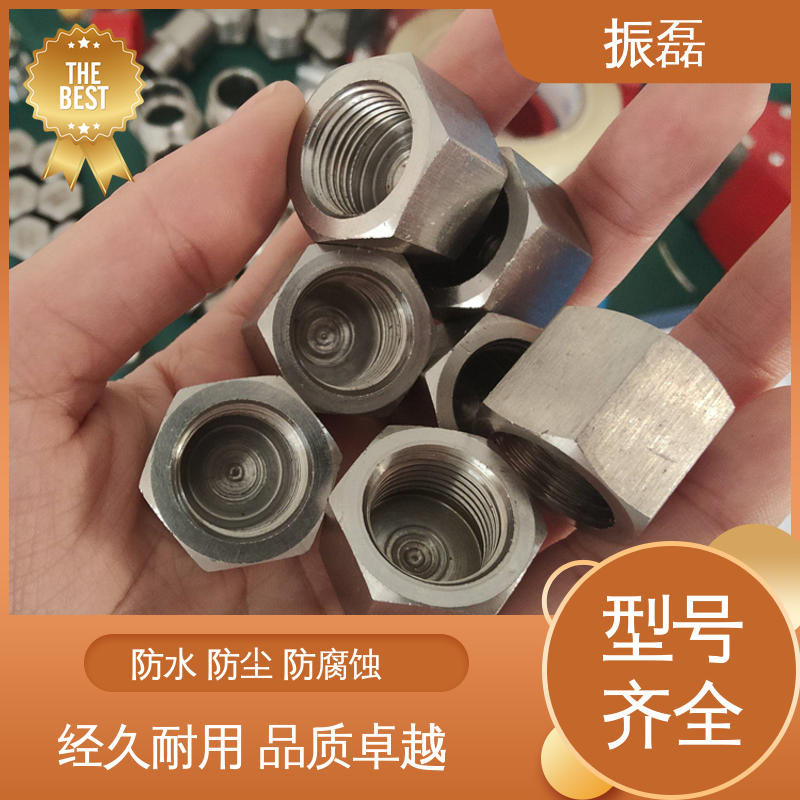 振磊 G1.2寸 不锈钢闷盖公制螺纹 防爆丝堵npt1 碳钢