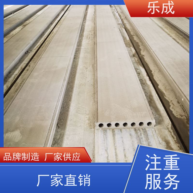 乐成 PC砖胎模 9\10\12\15\20厚规格齐全 支持定制 选材优质 现货发货
